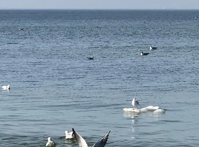 Luxe Baltic Sunset Miedzyzdroje